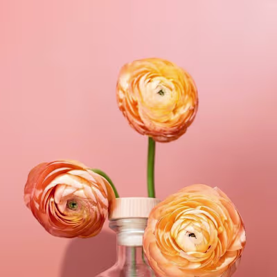Product Photography: Atōst