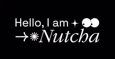 Nutcha's Portfolio