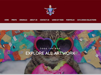 TODDS GALLERY SHOPIFY STORE FULL DESIGN + MARKETING