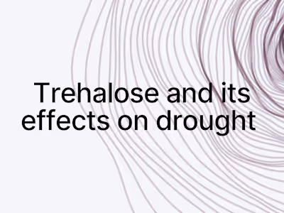 Trehalose