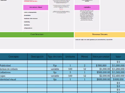 financial structuring