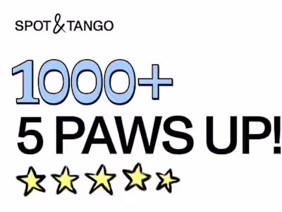 Email & Lifecycle Marketing - Spot & Tango