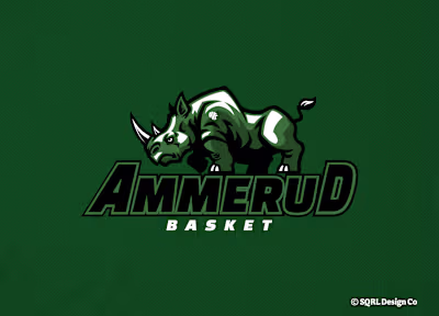 Ammerud Basket - Concept