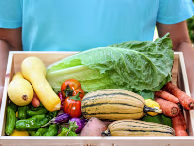 The Boise Farmers Market - Newsletter 1/31/23