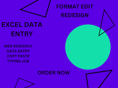 Precision Data Entry (Data Maestro)
