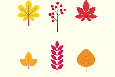 Autumn Pattern Illustration