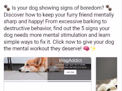 Facebook Ads — 5 Signs Your Dog Needs Mental Stimulation