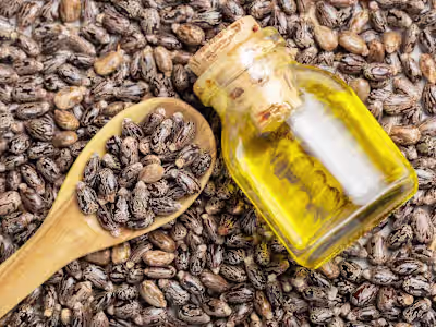 7 seas – 7seasenterprises