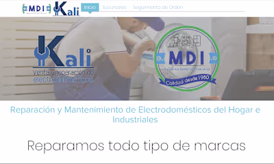 Internal Control System for Grupo Vector