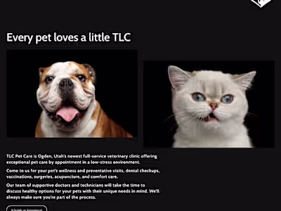 Vet Clinic Website and Copywriting