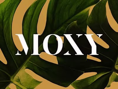 Moxy Dental & Airway