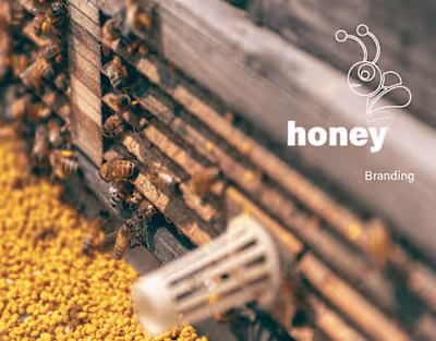 Honey Bunny Branding 🐻🍯