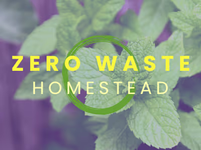 Lauren Landers, Writer at ZeroWasteHomestead.com