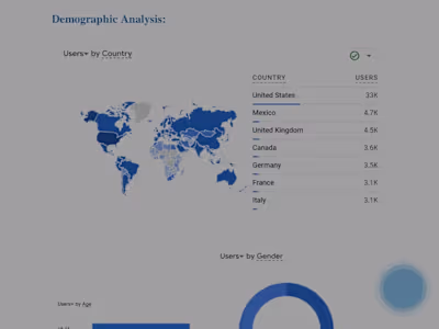 Shopify store data analysis and UX audit
