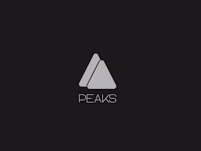 #05 PEAKS