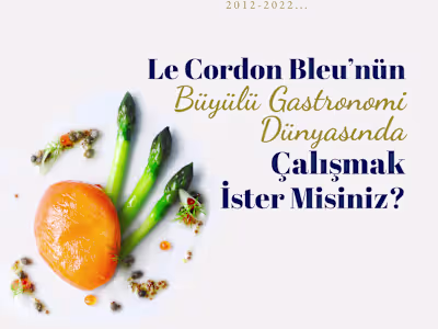 Social Media Managing