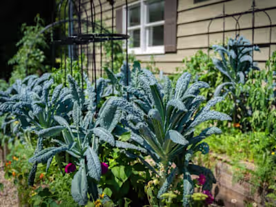 Angel heart creative design