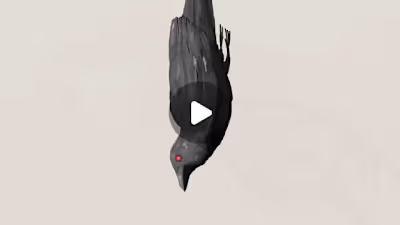 Embrace Chaos - Story animation