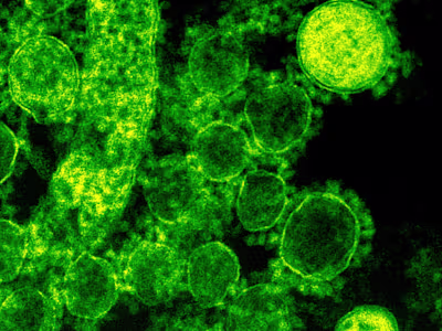 Customer Service Excellence