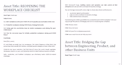 Email Copywriting Project