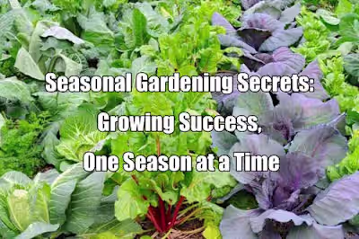 Seasonal Gardening Guide with Metal Raised Beds