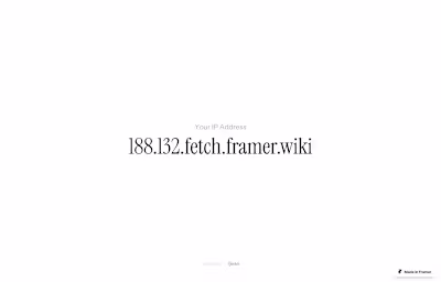 Framer Fetch Feature Exploration