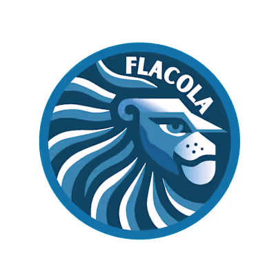 Branding and Visual Identity Case Study