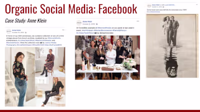 Organic Social Media