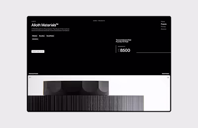 Projects Section Exploration