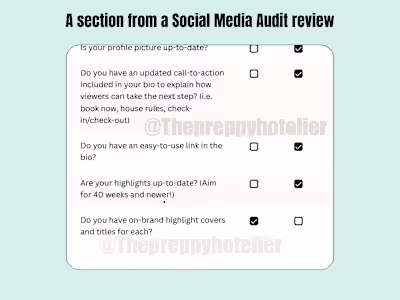 External Social Media Audit