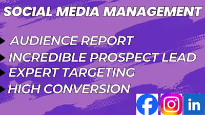Setup Facebook, Instagram, and LinkedIn Ads to Generate b2b lead