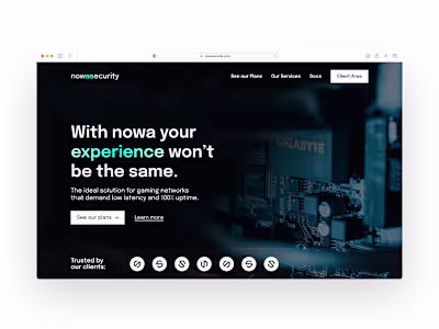 Nowa Security Landing Page Design