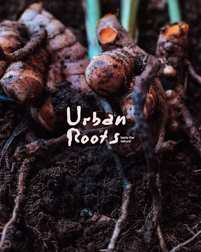 A grounded visual story built on raw texture and honest fres...