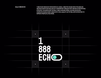 1-888-ECHO - Agency Landing Page