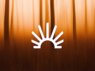 Optimuz - E-commerce Interface for Premium Dried Fruits Brand