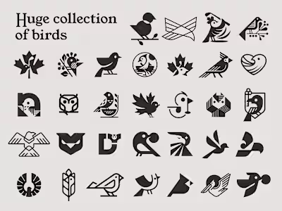 Huge collection of birds /2023