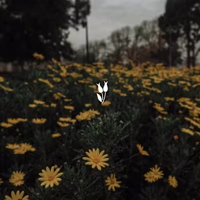 Bloom Minimalist | Flower Logo