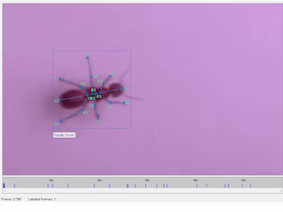 Built a Computer Vision object detection and tracking model