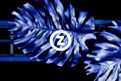 ZELO | Brand Identity 