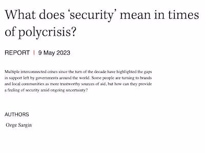 Cultural Insights Report