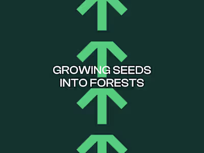 M4 Ventures - Branding & Website