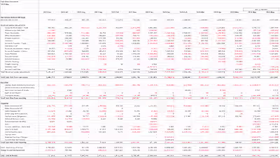 Comprehensive Statement of Cash Flows