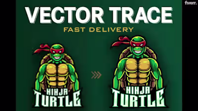 Vector Tracing and Image Conversion Project