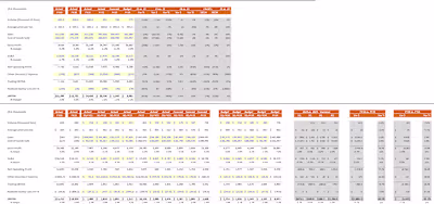 Quarterly & Annual P&L Stetments