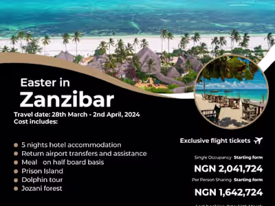 Tamari Travels Logo and Flyer Designs