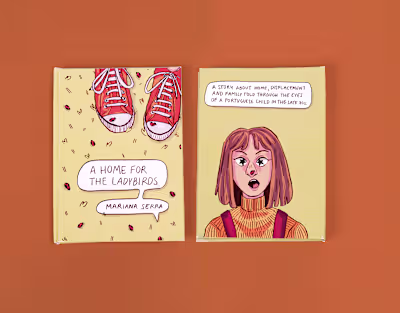A Home For The Ladybird – Children's Book Illustration