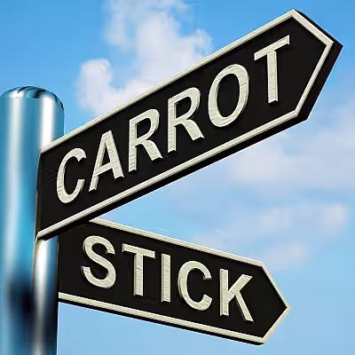 The Carrot or the Stick?: Organizational Leadership in and Beyo…