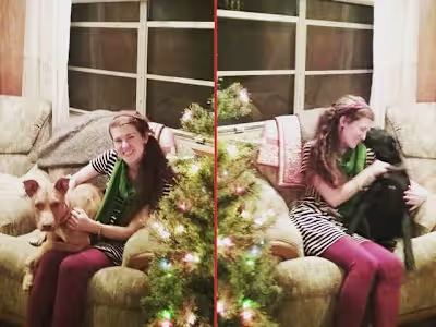 Understanding the True Meaning of Christmas