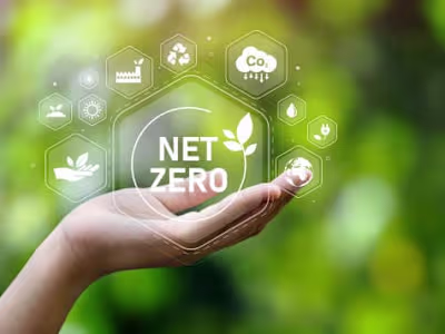 What Is a Carbon Offset?