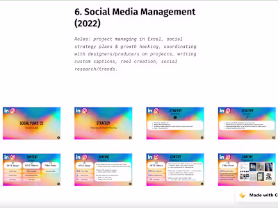 Professional Creative Portfolio 